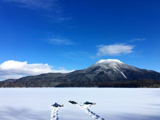 冬だけできる原っぱをたっぷり楽しもう!