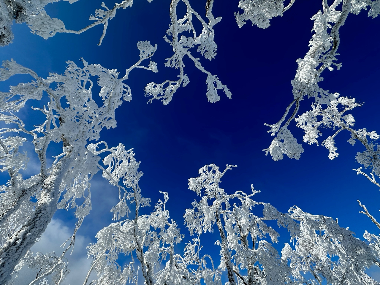 �~�̋�͋G�߂ň�Ԕ������Ȃ�܂�