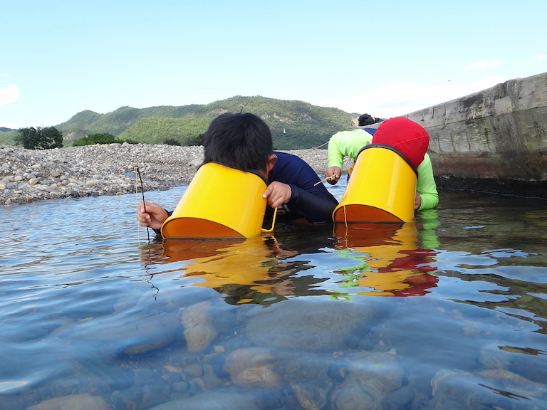 qǂŎQOK ^o^ FBƗVтɗĂˁI