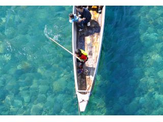 体験場所は岐阜城の麓!漁船でめぐる体験型ツアー