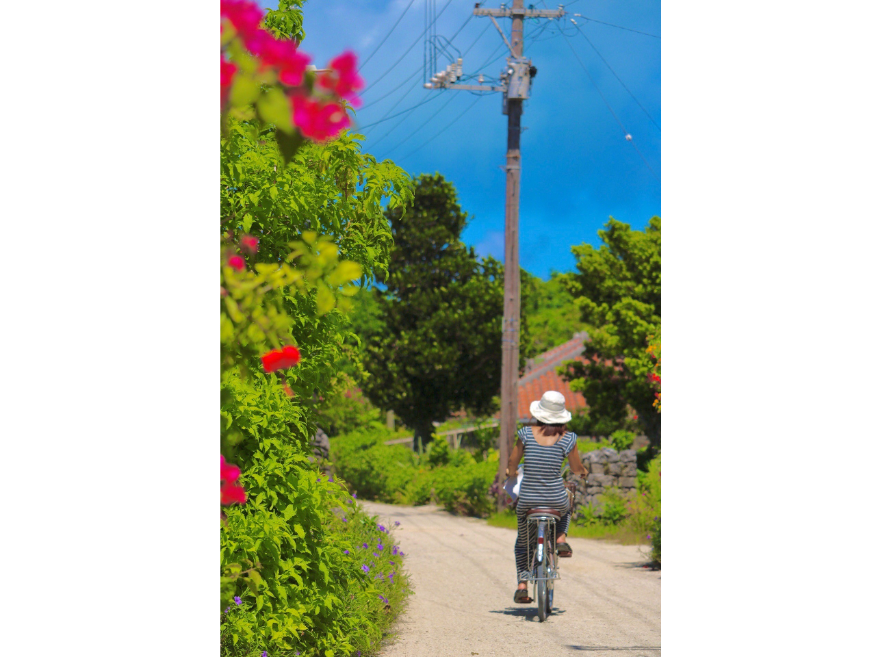 �����񂾋�ƊC�A���l�ɑ����Ԋ��̏W���ȂǁA�����T�C�N�����O���Ȃ��珄�邱�Ƃł������킦�Ȃ����ʂȑ̌����҂��Ă��܂��B