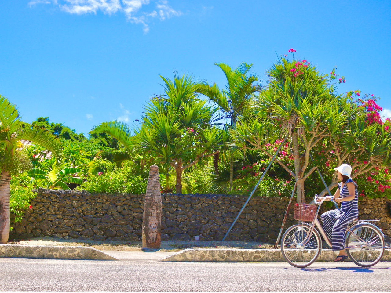 ̔RƓƓ̂̂тƂ͋CAS䂭܂Ŗi