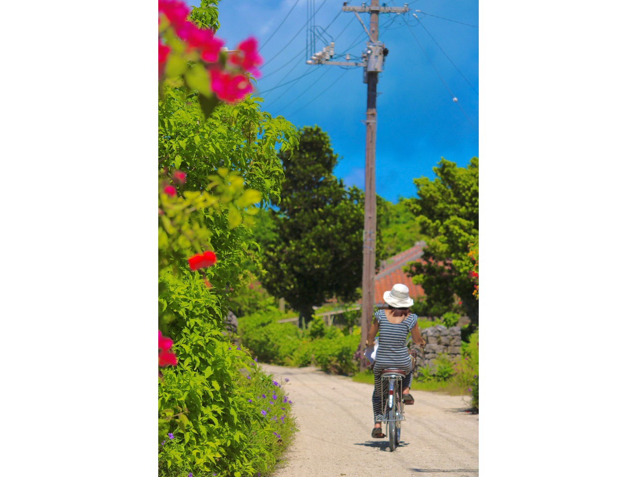 񂾋ƊCAlɑԊ̏WȂǁATCNOȂ珄邱Ƃł킦Ȃʂȑ̌҂Ă܂B