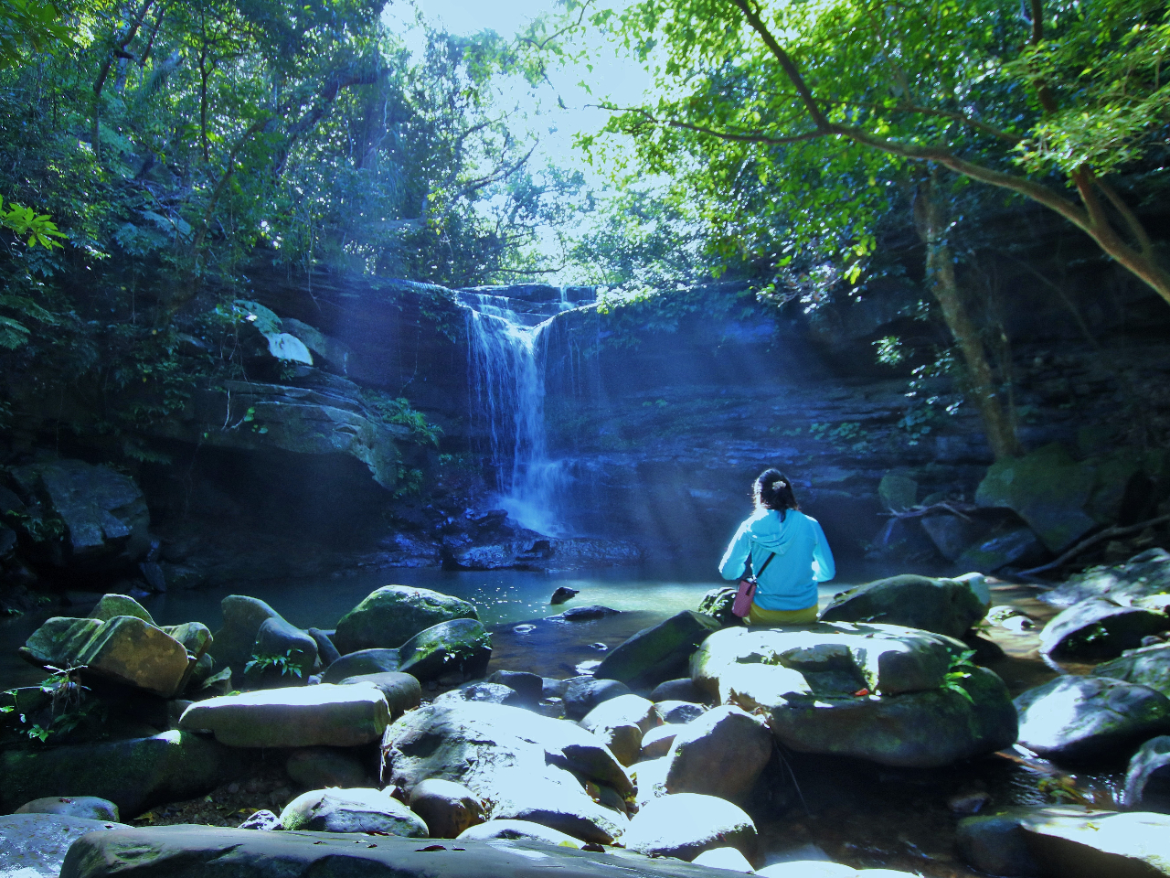 _ȃN[̑ꁦV󓙂̏󋵂ɂĂ͖ړInύXɂȂꍇ܂B