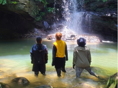 Sɋ炩Ȑ̐AN[̑Ŗ̂ЂƎ