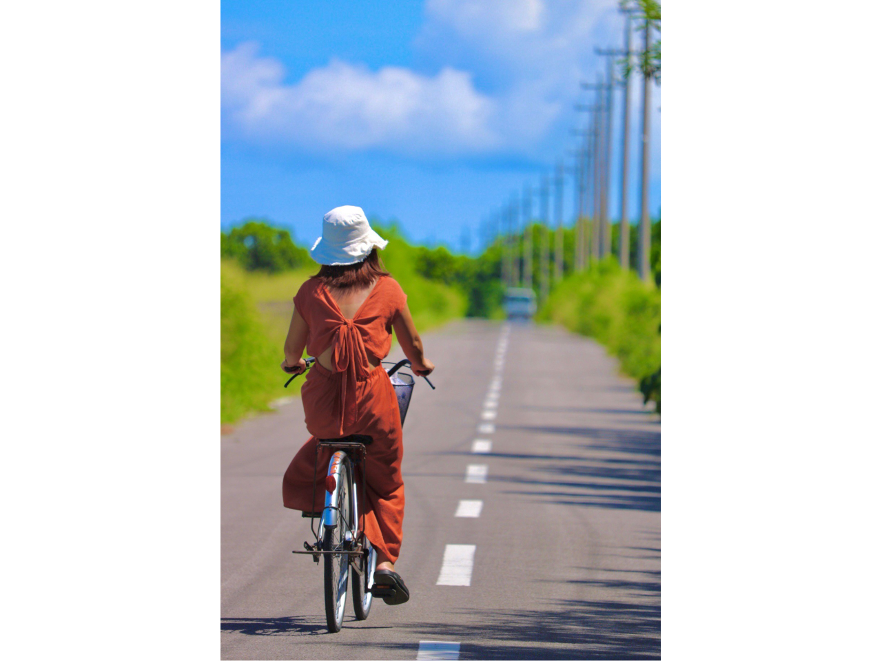 ₩ȕɐāATCNO ̖͂̊