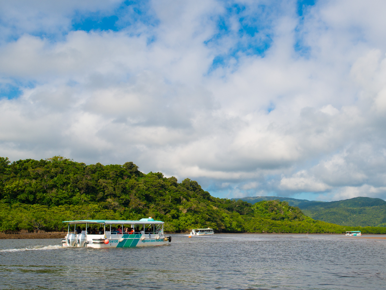 ���Ԑ�̃}���O���[�u���N���[�W���O�I