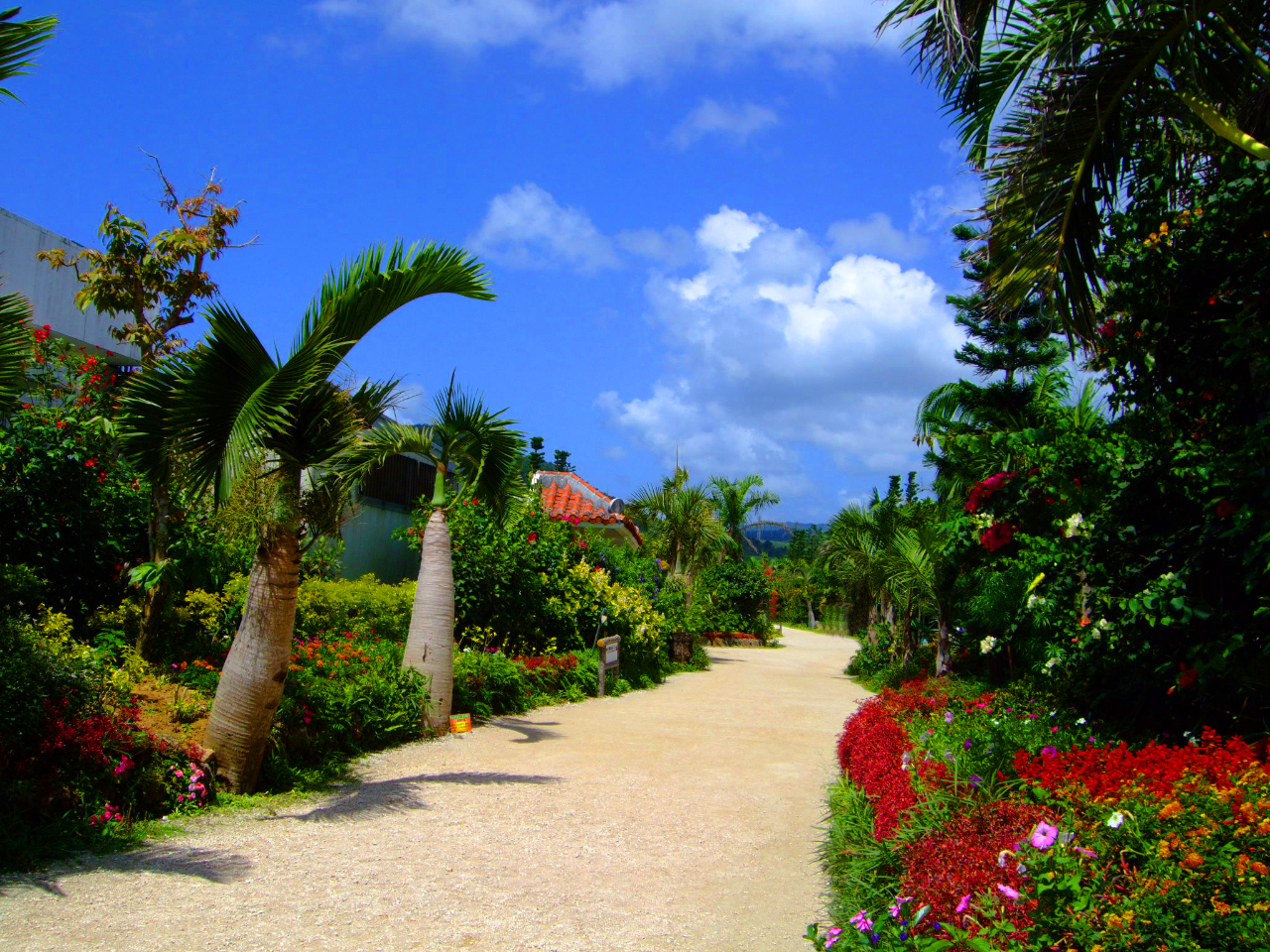 Rƒa铇A҂ʂȂЂƂƂ