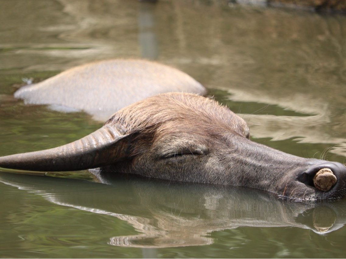 RƋɐ铇ASقǂЂƂƂ