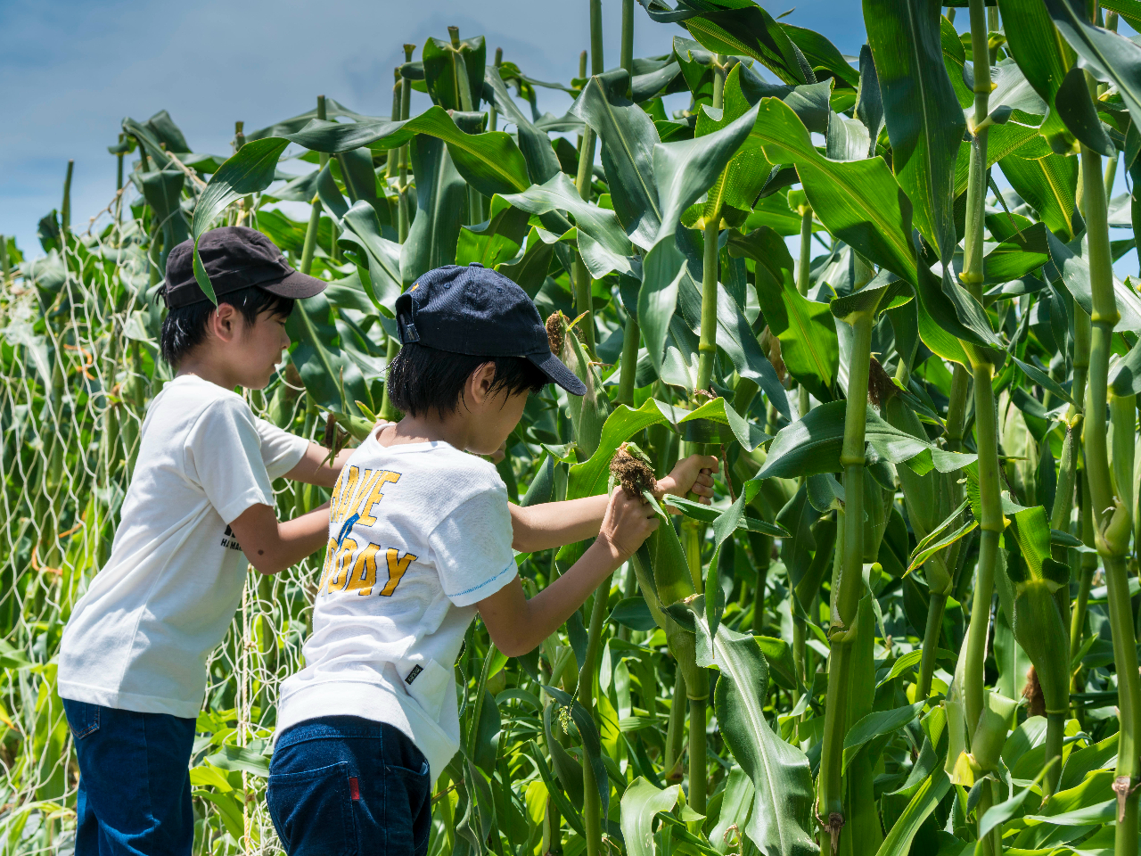 ₳Ŏn؂BBQɎłOKłI