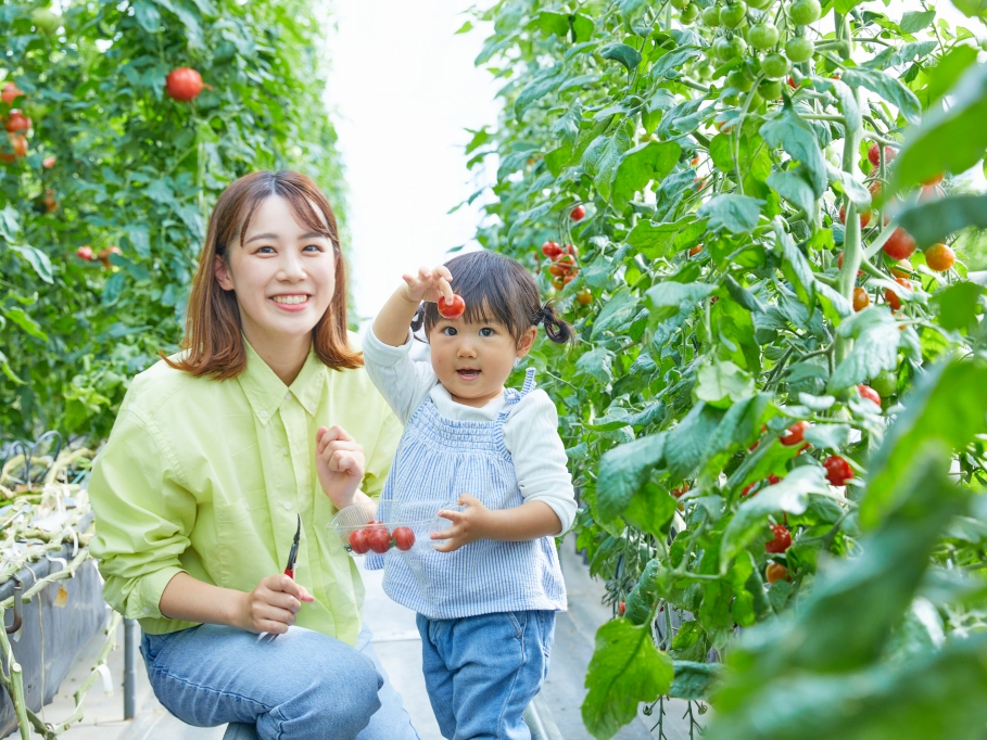 {̖؂ʕۂɎnłA_ƌȂł͂̑̌ł܂