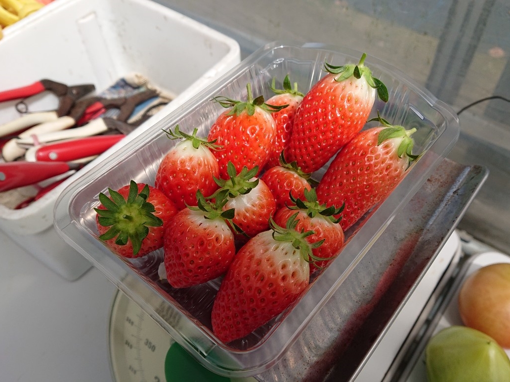 200͂ꂮ炢܂BQlɂĂˁB