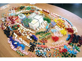 ガラス細工陳列風景( *゚-゚* )