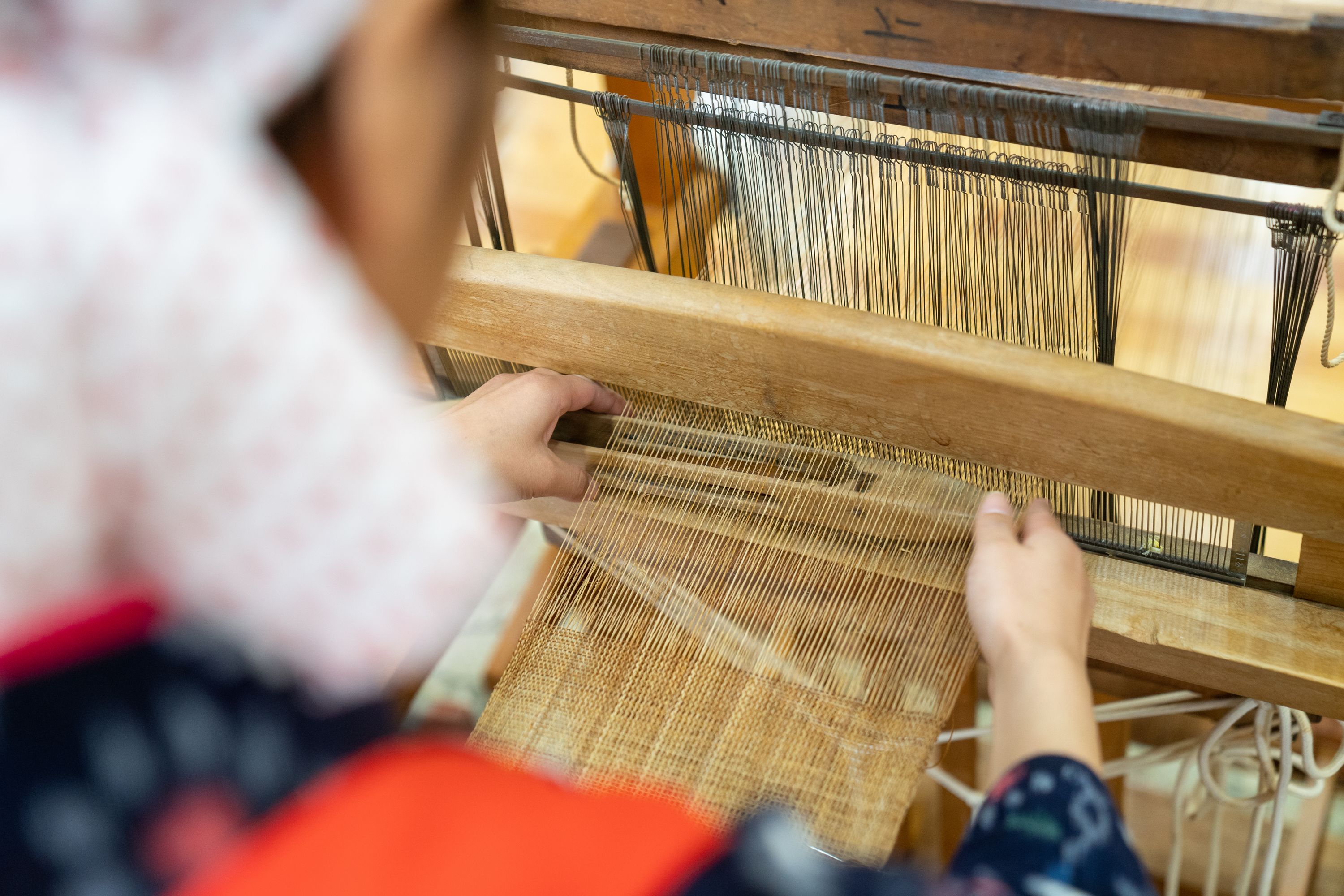 ������́A���ȐD�̗l�q