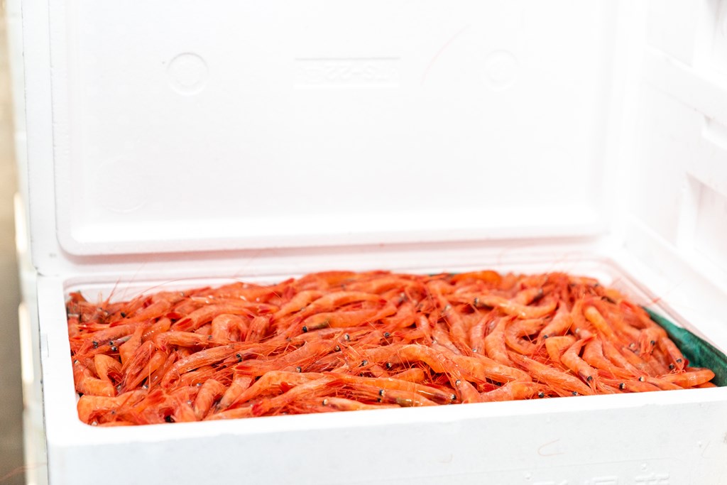 今回は「むぎきりに」に鼠ヶ関(ねずがせき)漁港で水揚げされた、天然の紅えびパウダーを練り込みます。