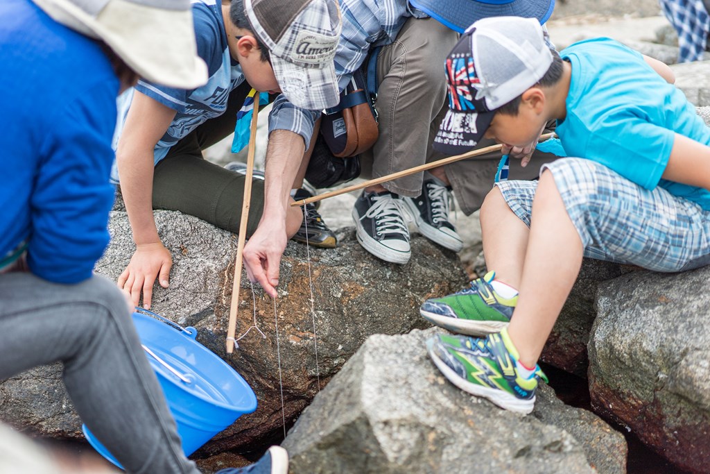 ōނƂgĈKjނȂA E~ɂ͂ǂȐǂȂƂɏZł̂A ώ@Ă݂܂傤