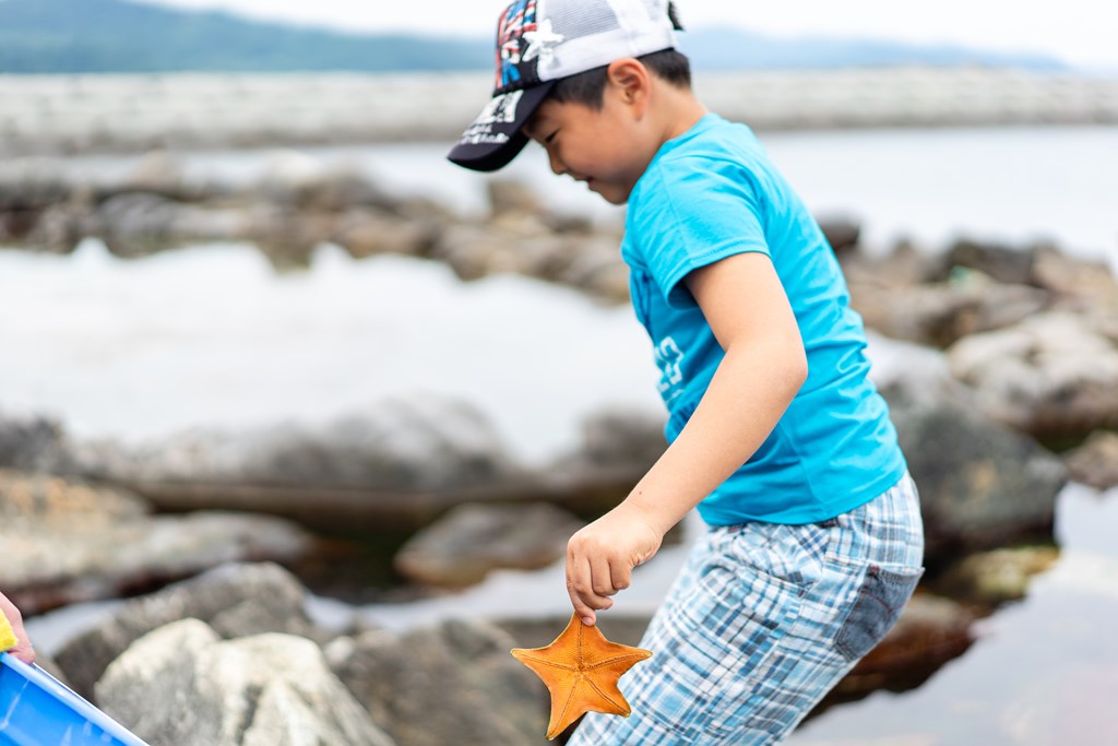 qgf⃄hJAAtVȂǂȂǁB }͂␅قłƂȂ[ςI