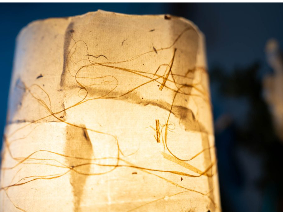 しなもっこと和紙の組み合わせが、様々な表情を生み出します