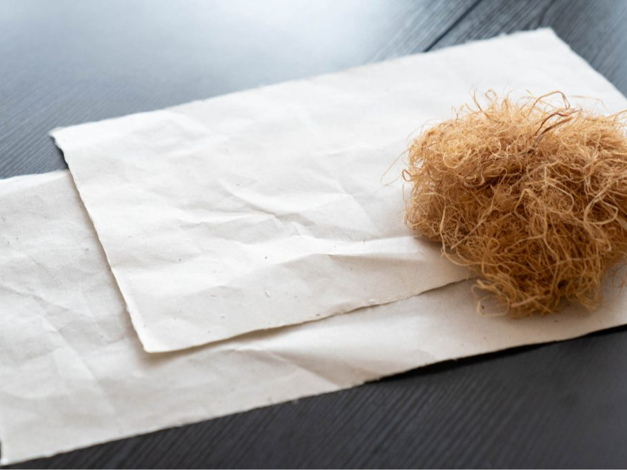 木から生まれるしなもっこと楮から作られた和紙、どちらも自然の素材が魅力です