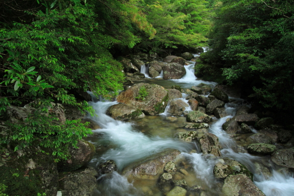 屋久島は水の島。景色に癒されながら歩きましょう。
