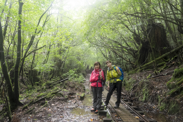 トロッコ道を楽しく歩きます。