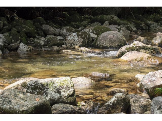 天気のいい日は川におりてコーヒータイム。