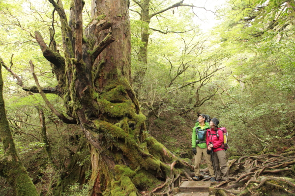 1ړꕶB̌iF₨ql̕\̓KChBe܂B