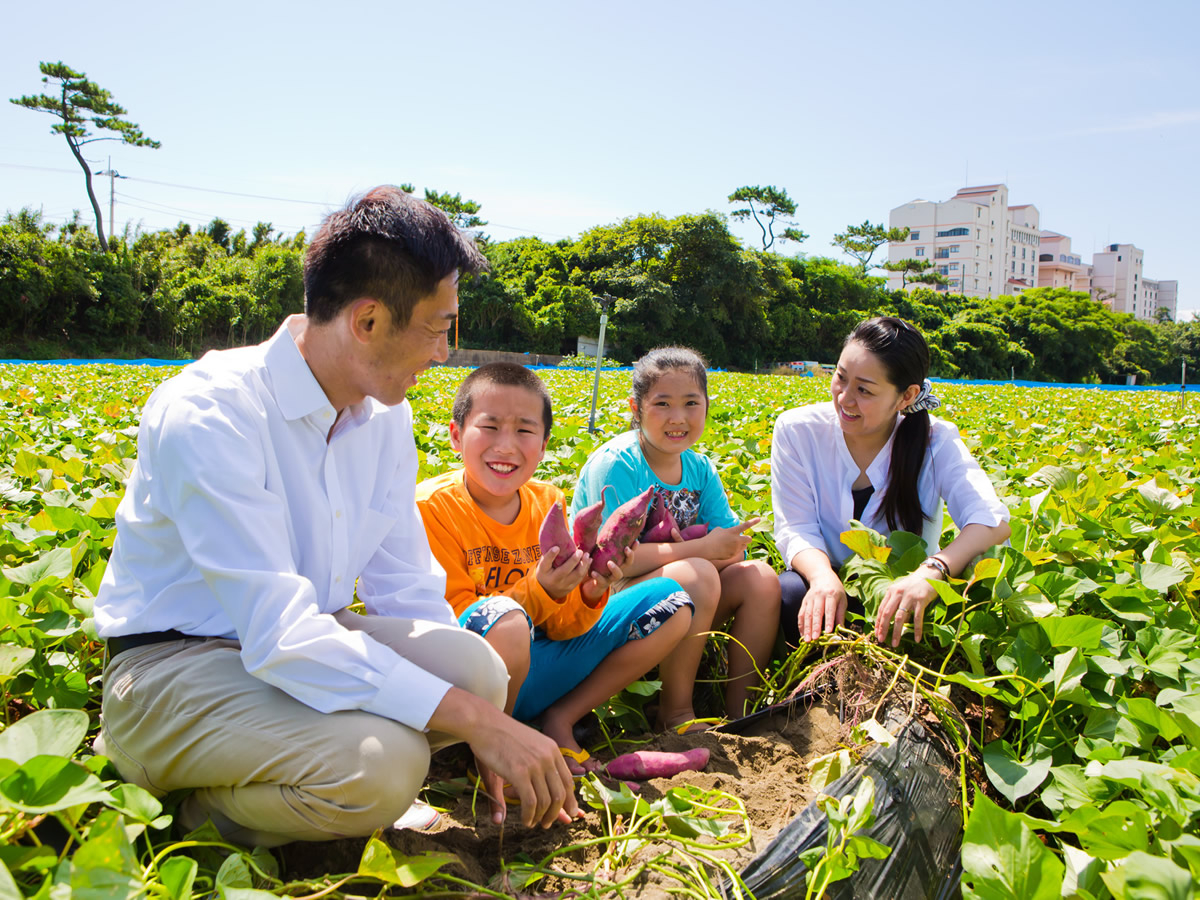 ̈@̌􂠂܂`̎RȊÂ͐iI