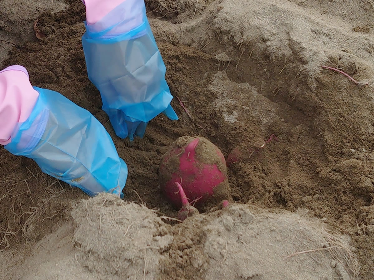 ͍n̔ň炿܂BVъoŎnł̂ŏȂqlł̌Ē܂B