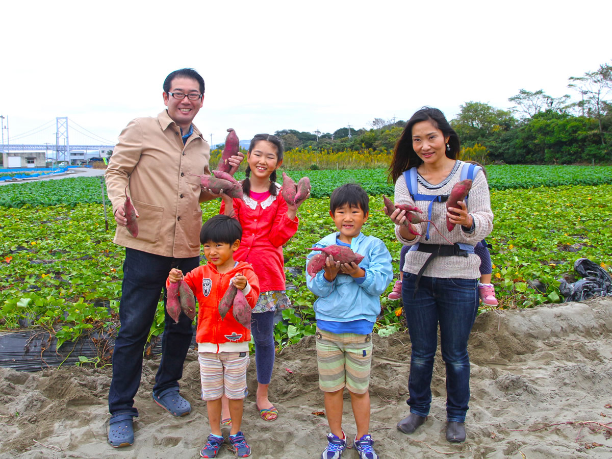 たくさんの鳴門金時が収穫できました。