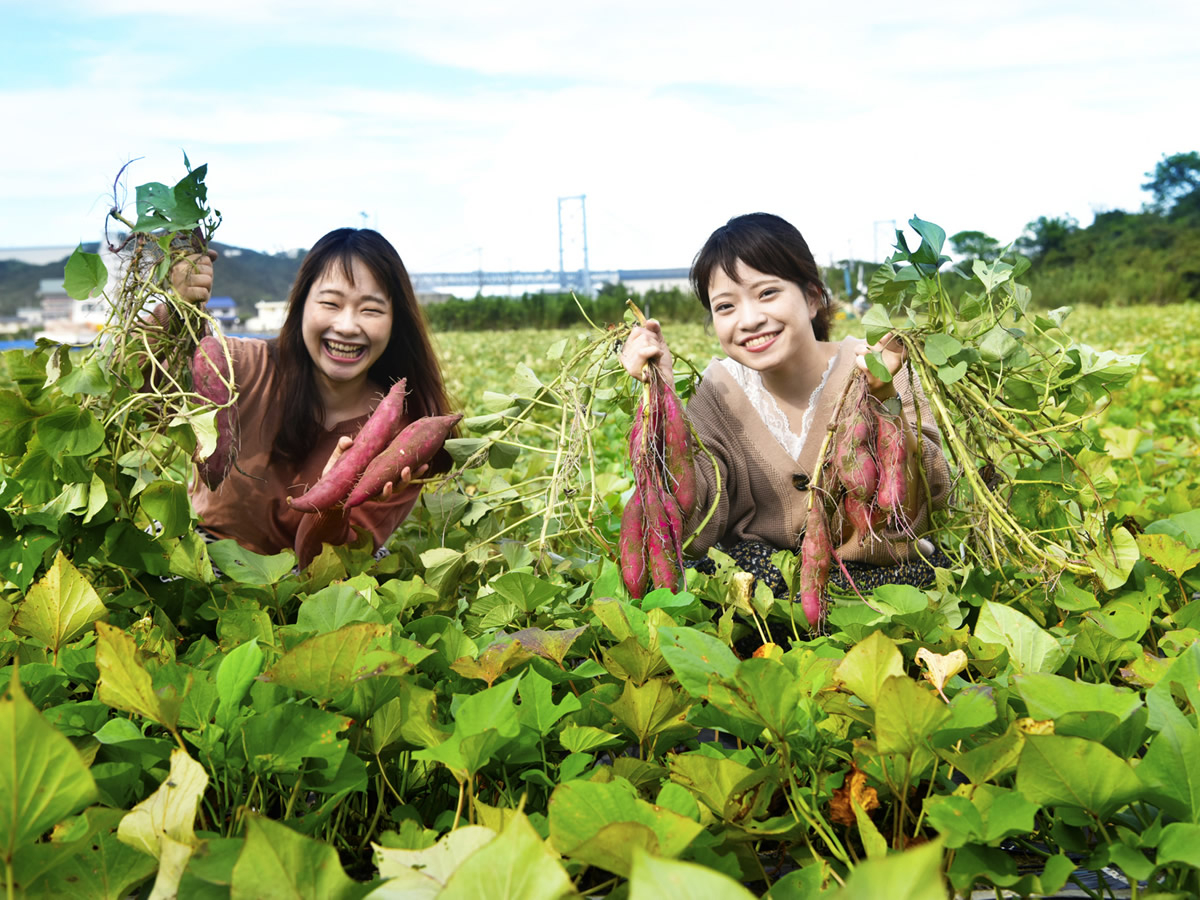 ۂ̎ň̓ctł͂܂Bc̓JbgꂽԂŎnĒ܂B