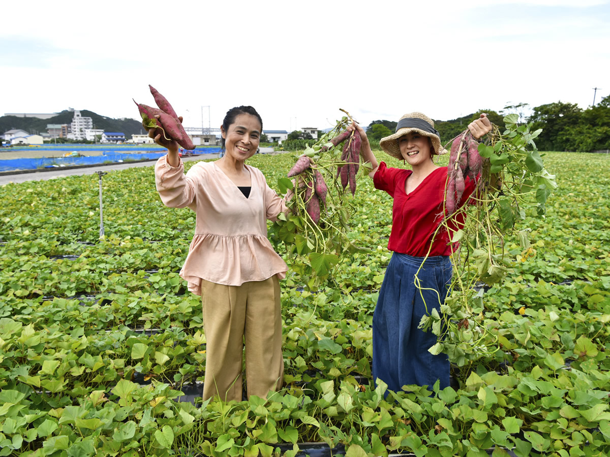 収穫した鳴門金時と一緒に大鳴門橋をバックにして映える写真を撮りましょう!