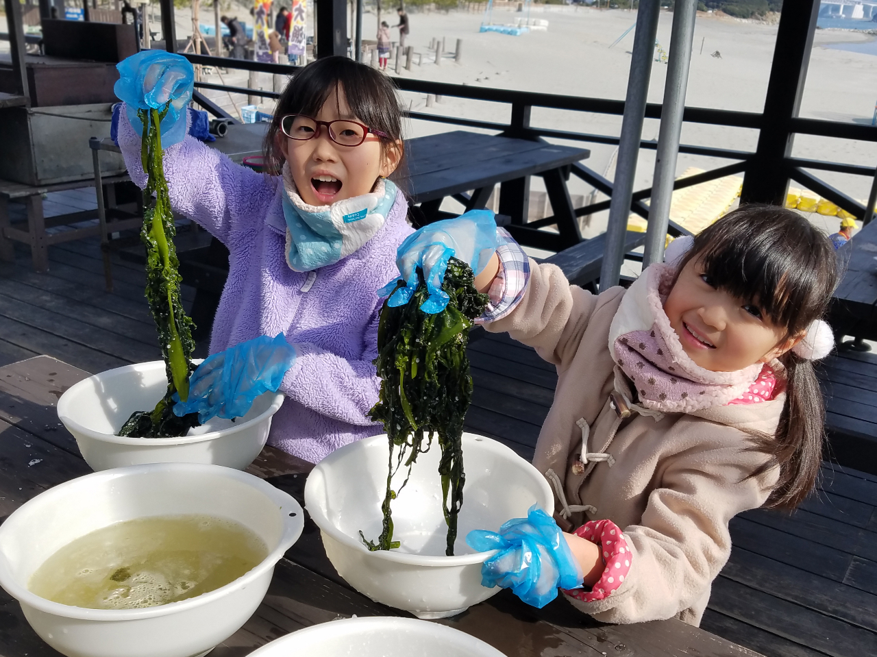 【お手軽!簡単!】2月・3月限定!鳴門わかめ塩蔵体験/時短コース