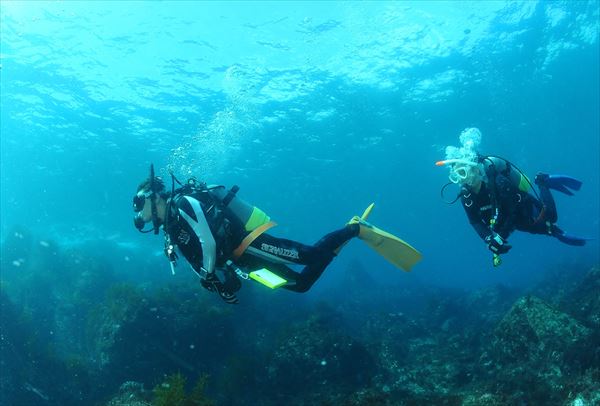 体験ダイビング【午後コース】初心者大歓迎♪体験ダイビングは伊豆高原・八幡野で♪