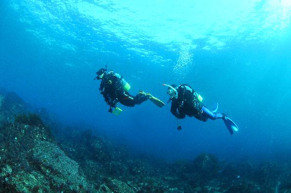 体験ダイビング【午前コース】初めてでも安心・体験ダイビングは伊豆高原・八幡野で♪