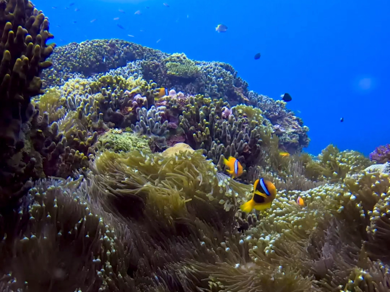 お客様のリクエストでその日のポイントを決めるので見たい生き物に会える可能性が高いです!