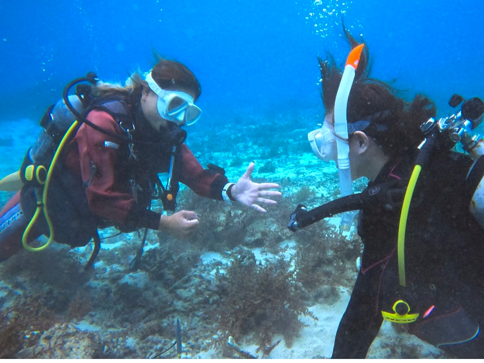 まずは海にダイビングにゆっくり慣れるように練習します。経験豊富なインストラクターがアシストします!