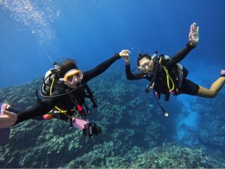 海の世界は、まるで空を飛んでるような体験ができます!