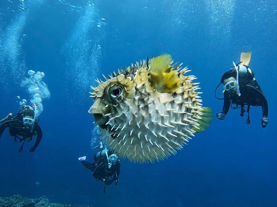 どんな生き物に会えるかはお楽しみ!
