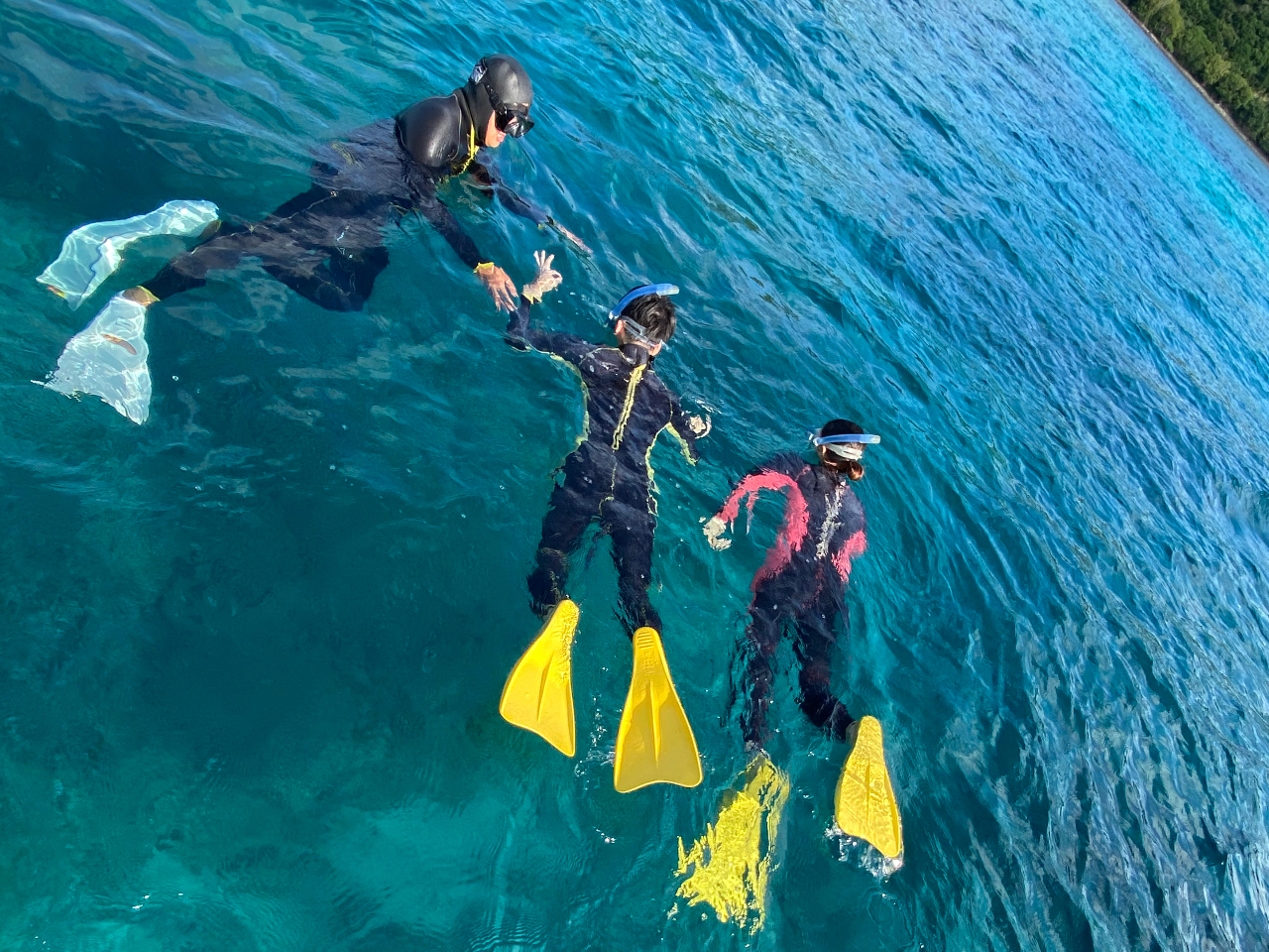 CXgN^[ɂ̂ŁASăVm[P邱Ƃł܂B