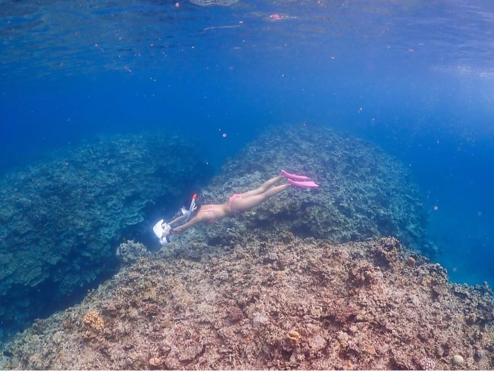 XN[^[Ől̂悤ɁACjႤI