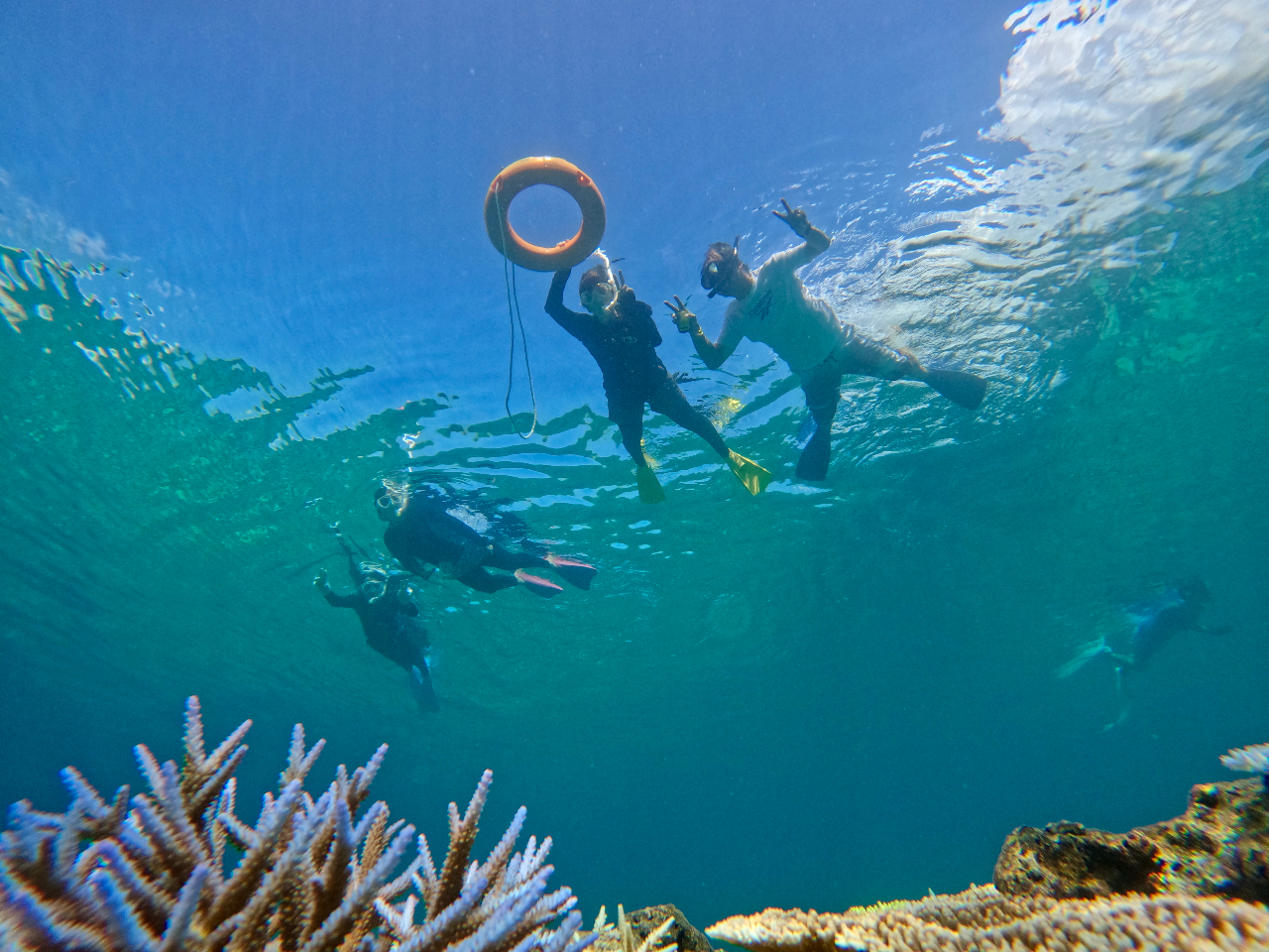 �y�������ԂƔ��d�R�̊C�����\���悤