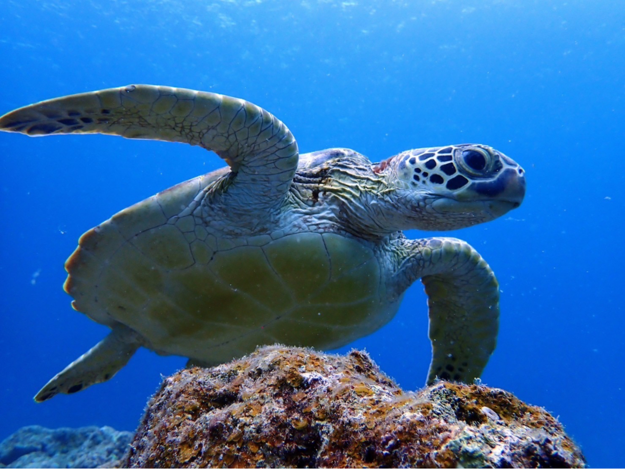 みんなに会えるのを楽しみに待ってます。