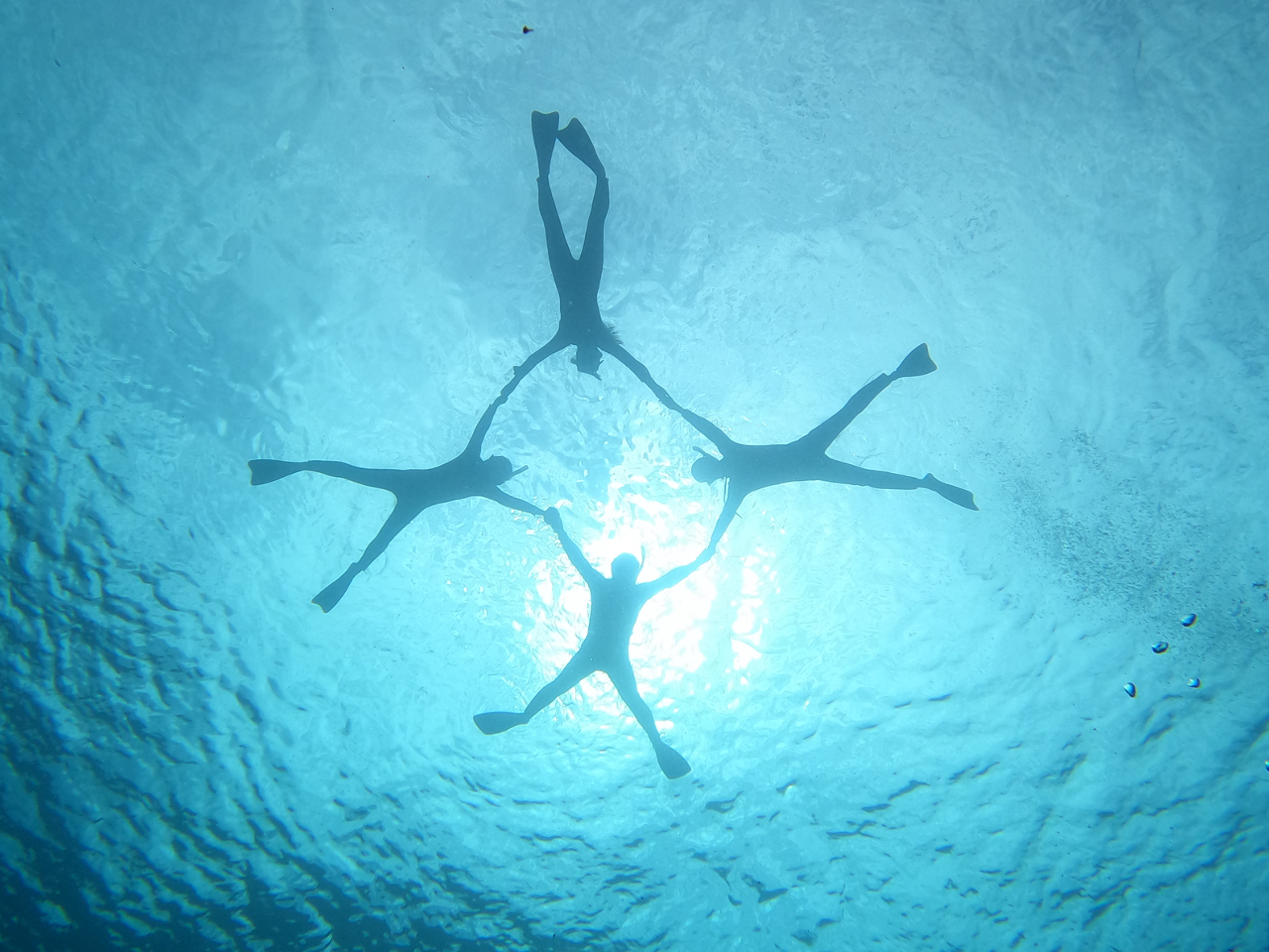 �݂�ȂŒ��ǂ��y�����A���d�R�̊C�����\���悤