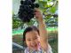 小さい子でもぶどう狩り体験が可能です!