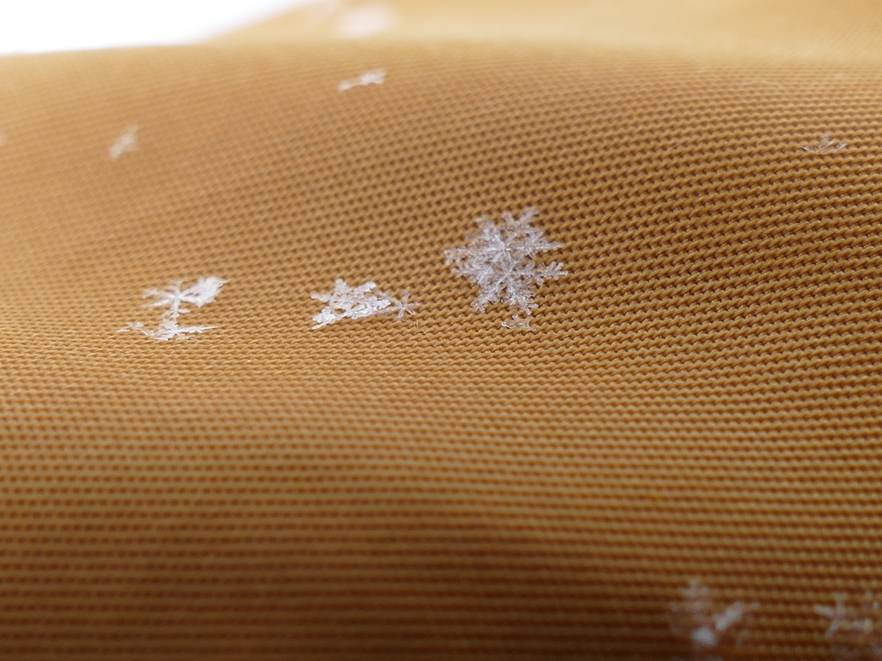 �����Ɨ�����h���C�p�E�_�[�X�m�[�͑S�R�G��Ȃ��I