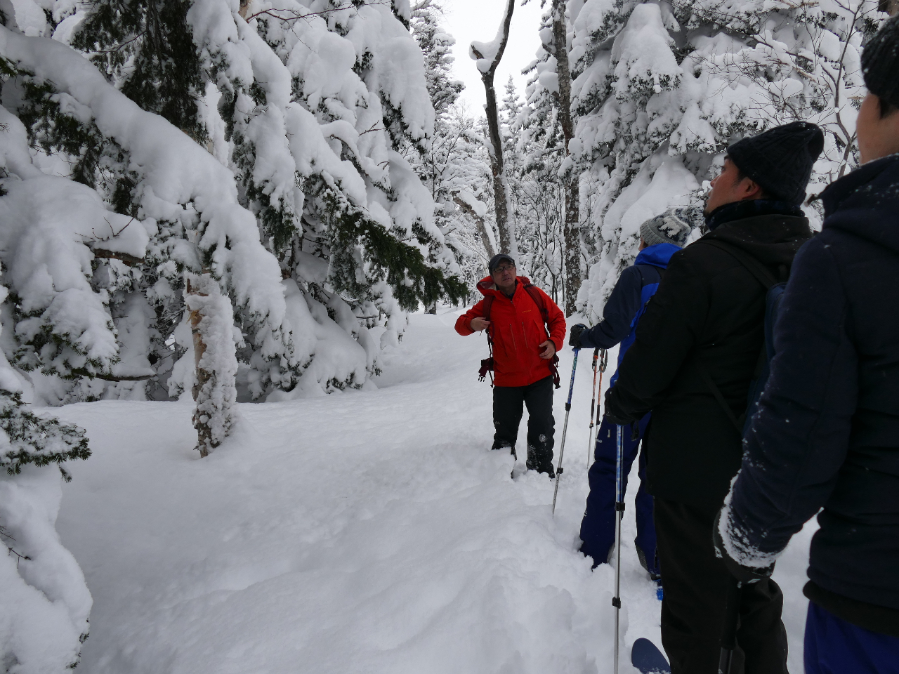 �l�C�`���[�K�C�h�ƈꏏ�ɓ~�̐X�̌��I