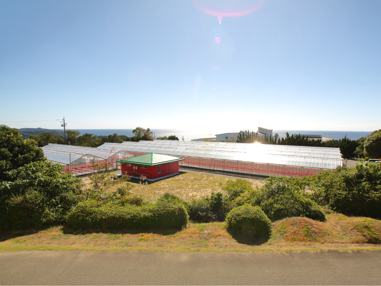 太平洋を見下ろす抜群の眺望!こだわり5種のイチゴを育てています。