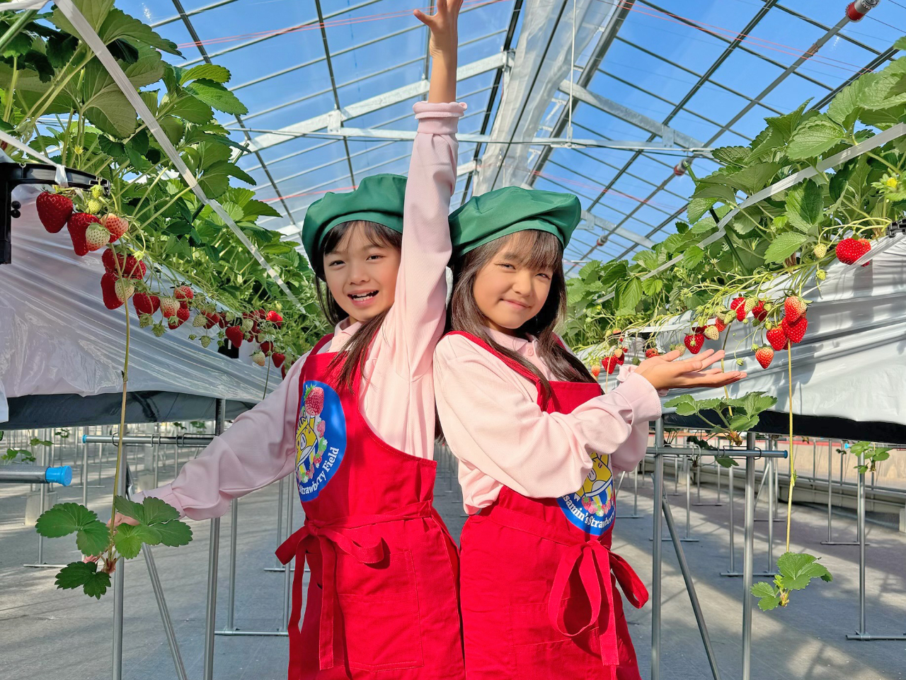 すさみんのいちご畑マスコットガール
