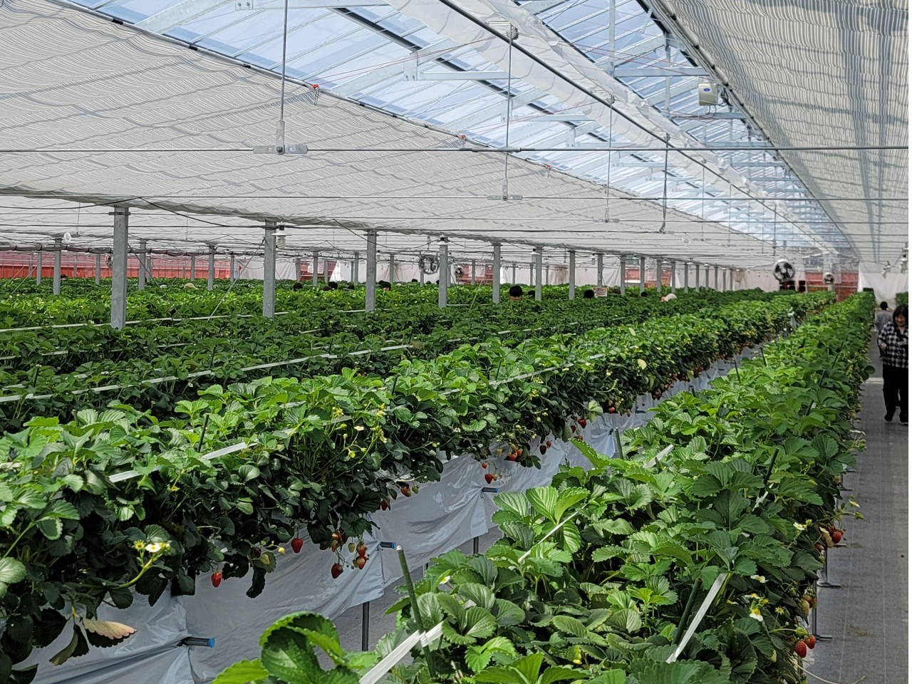 Lȃrj[nEXōݍy߂܂B 100l܂ł̒c̗lɂΉĂ܂BOɂ⍇B